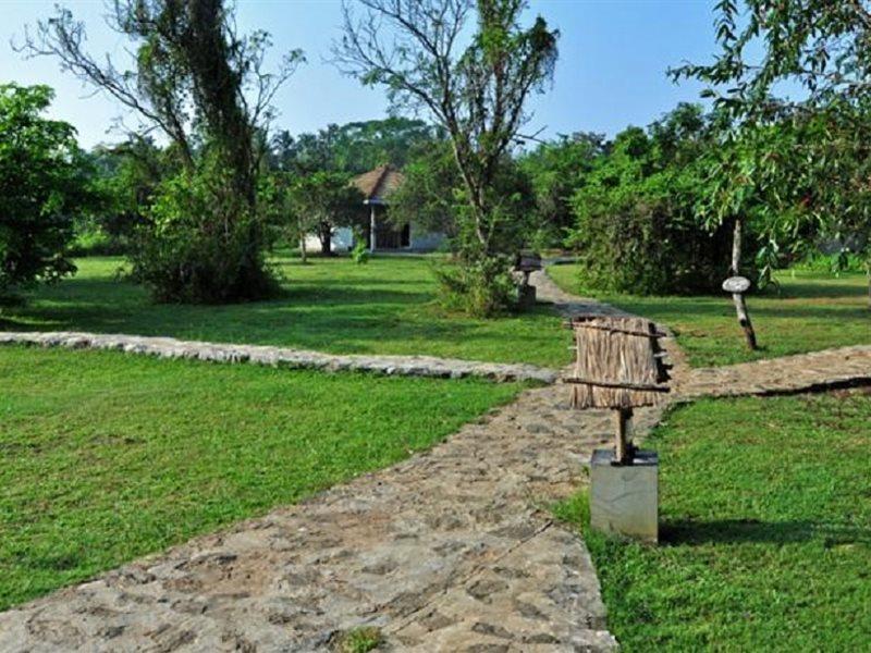 Kassapa Lions Rock Hotel Sigiriya Exterior photo